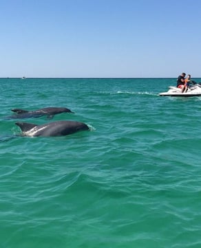 Crab Island Excursion