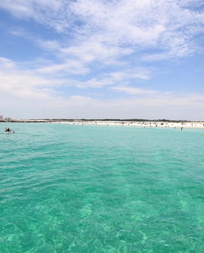 Shell Island Dolphin Swim