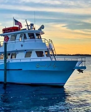 Sunset Dolphin Cruise